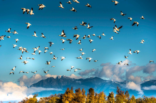 �1757757 �������(a): ����������:2048x1350